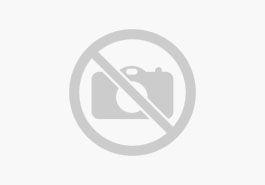 Cupra Ateca Basis 4Drive 2.0 TSI EU6d Allrad AD AHK Navi digitales Cockpit Memory Sitze Soundsystem